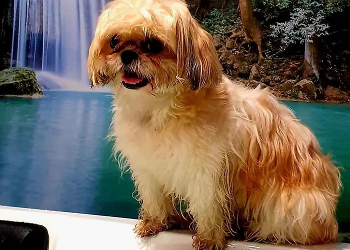 Appartement Rincon Do Mar Brisa Marina A Guarda